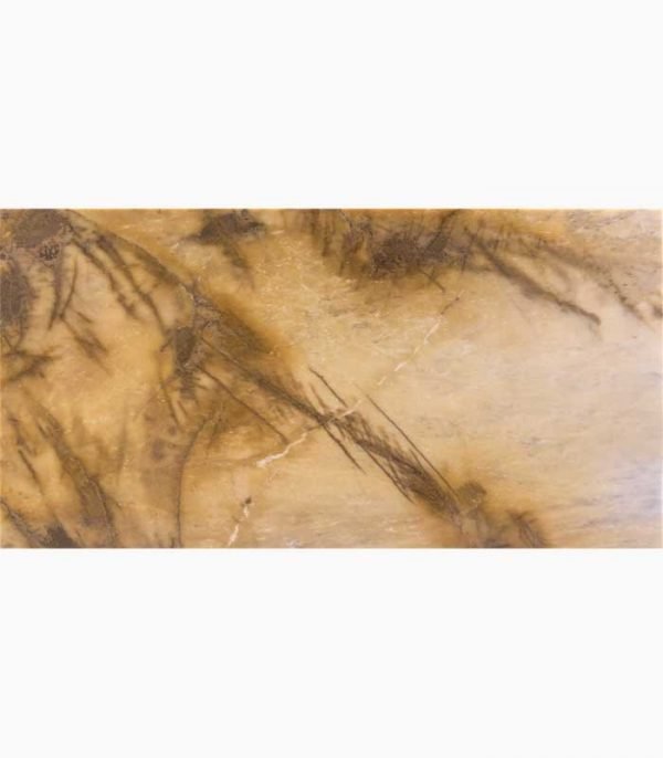 12x24 PICASSO Polished Marble TILE