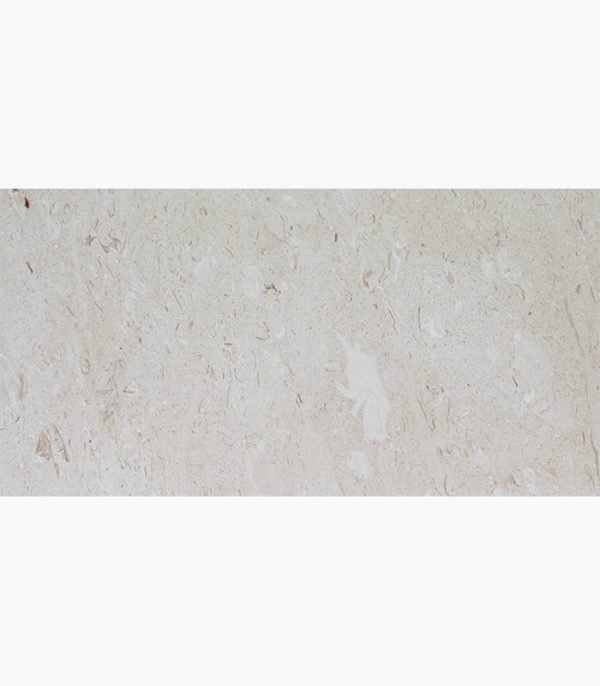 12x24 SHELL STONE Brushed Limestone TILE