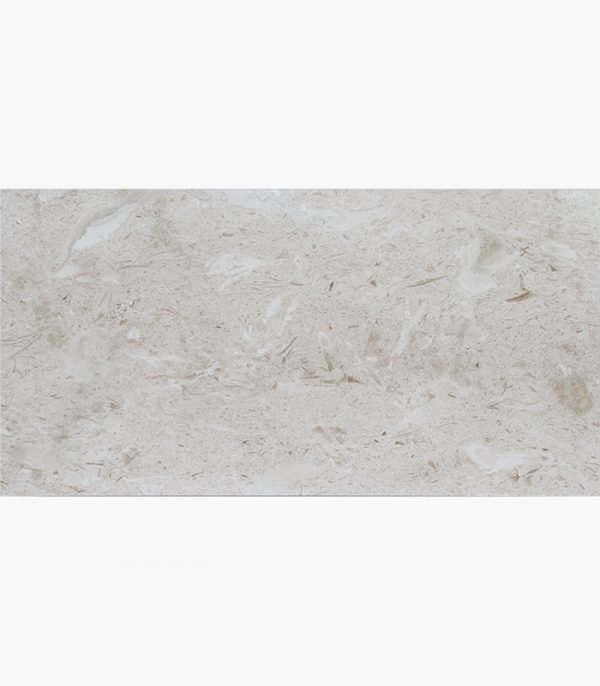 12x24 SHELL STONE Polished Limestone TILE