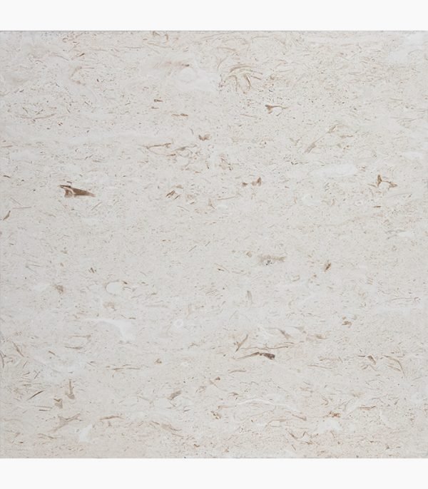 24x24 SHELL STONE Tumbled Limestone PAVER