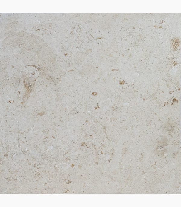24x24 SHELL STONE Brushed Limestone TILE