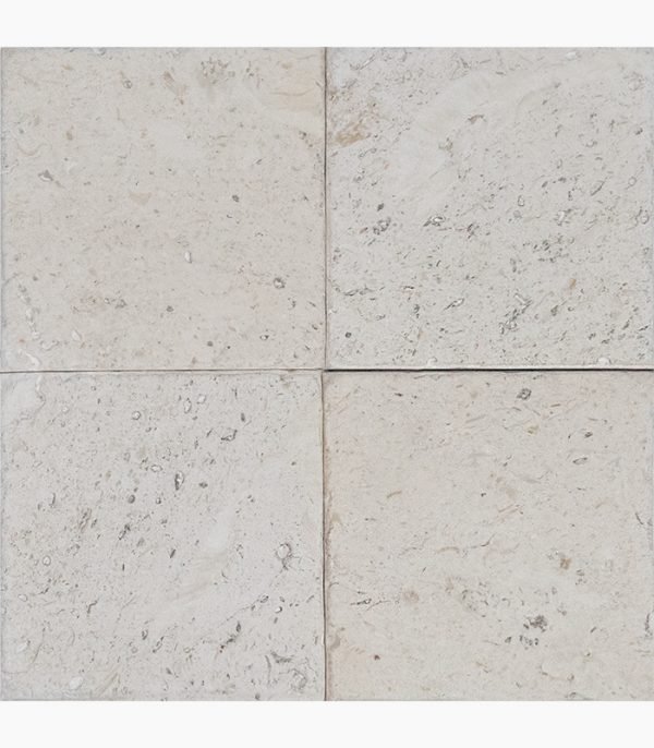 4x4 SHELL STONE Tumbled Limestone TILE
