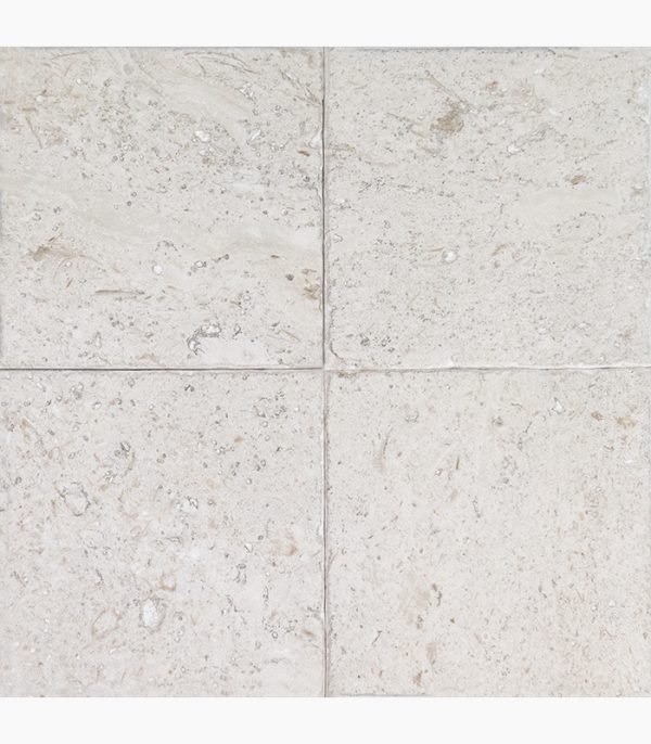 6x6 SHELL STONE Tumbled Limestone TILE